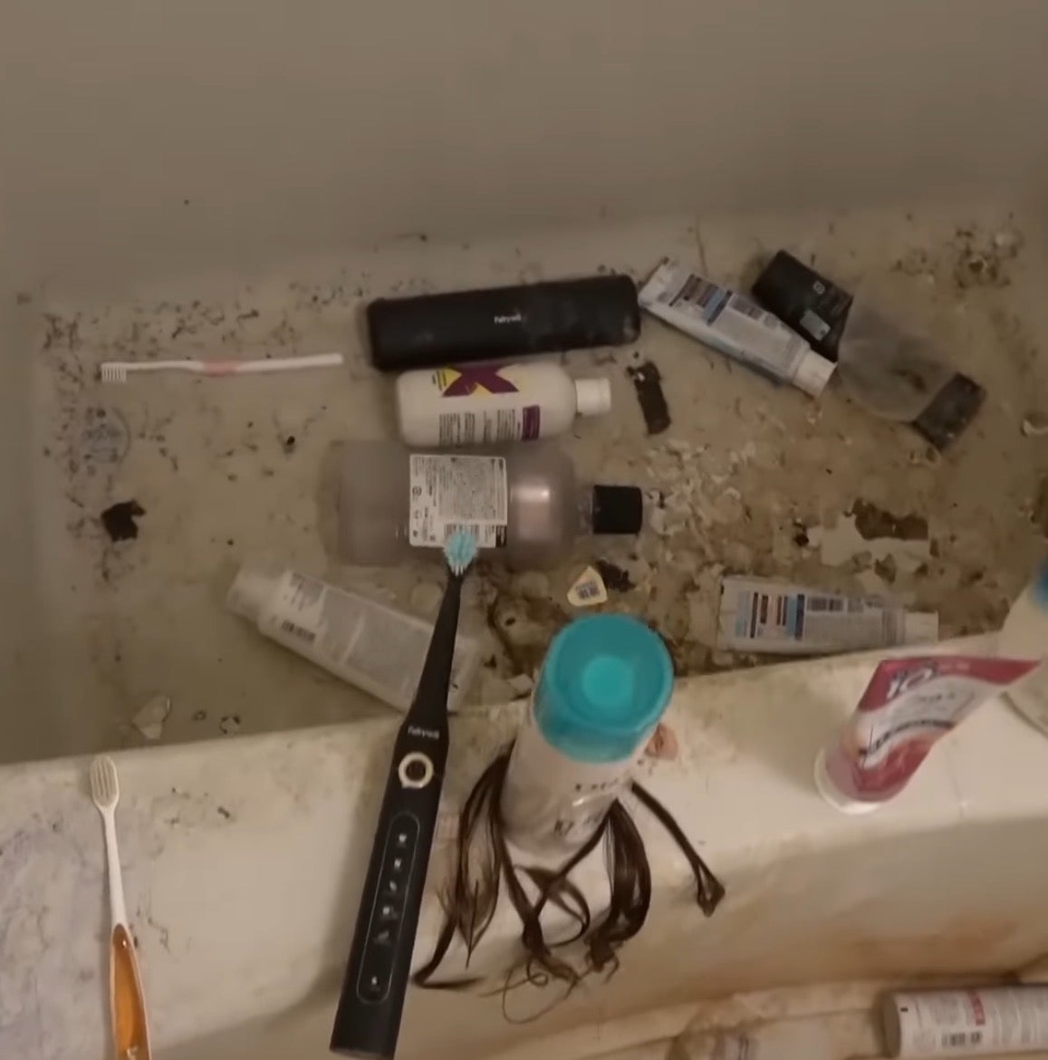 クリーン・ホーム筑紫野の紹介写真_1枚目